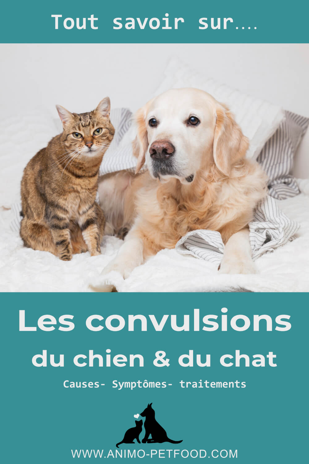 Les convulsions chez le chien et le chat